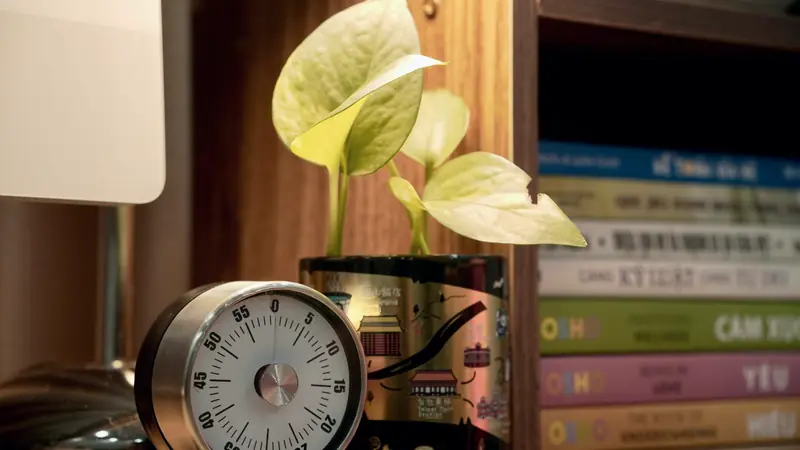 Minuteur mécanique posé sur une étagère à côté d'une plante et de livres